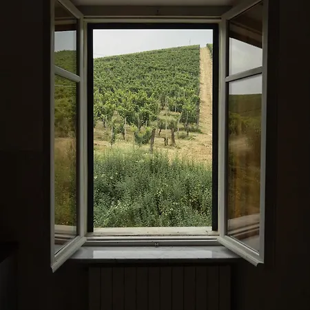 Azienda Oddone Prati Winery * Strevi